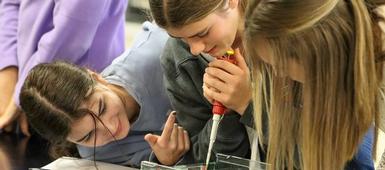 OMS students participate in forensic lab