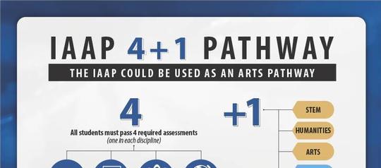 IAAP 4 + 1  Pathway